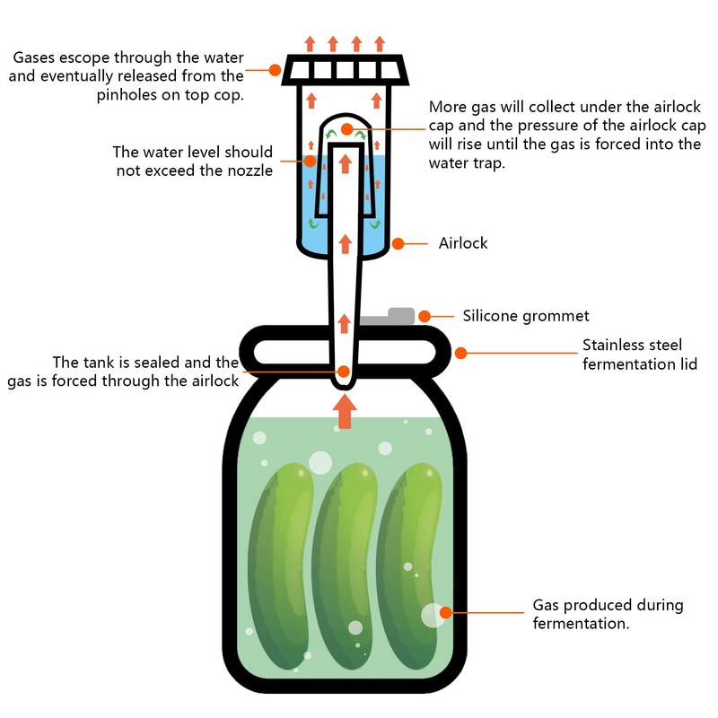 Artcome 32 PC Fermenting Airlock Lids Kit Set - Fermentation