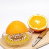 Westmark 308122E1 Citrus and Orange Squeezer Capacity 30 ml Glass
