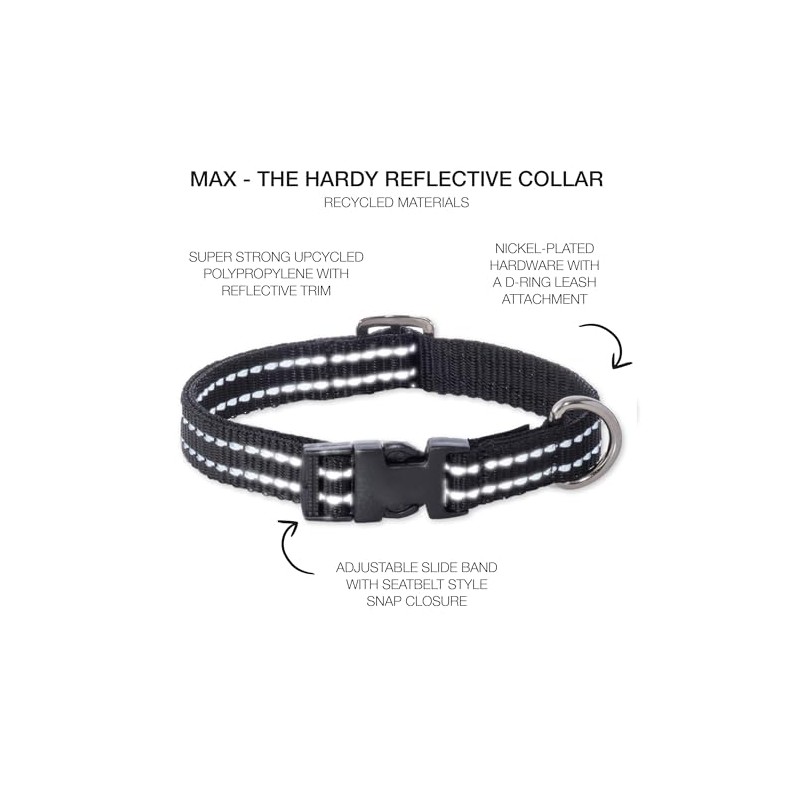 Pet Passion Adjustable Reflective Dog Pet Collar for Small, Medium