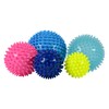 MSPORTS Massage Ball Set of 5 Hedgehog Balls