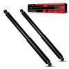 Torchbeam Rear Shocks Absorber Struts Amortiguadores Traseros Replacement for Ford
