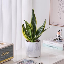 Ekirlin 6 Inch Natural Marble Texture Plant Pot, Resin Indoor Planter with Drainage Hole, Removable Rubber Stopper and Non-Slip Soft Pad,Weatherproof Decorative Pot for Ondoor/Garden Plants