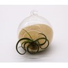 B2C Coloured Sand Aquarium Fish Tank Substrate 1/2/5/10/20KG Black/White/Natural/Red (100,