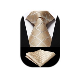 HISDERN Champagne Ties for Men Plaid Tie with Pocket Square Set Mens Satin Beige Tie Set Formal Solid Gold Checkered Neckties Handkerchiefs Wedding