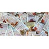 Bigelow Tea Seasonal Tea 6 Flavor Variety Pack, Mixed Caffeinated