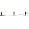 Northlight LED G12 Berry Christmas Lights - 16' Brown Wire