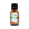 Mayan’s Secret- Monkey Farts - Premium Grade Fragrance Oil (30ml)