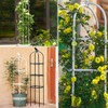 Garden Trellis for Climbing Plants, Rustproof Metal Pipe with Heavy