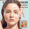 AVVA VISION 3-IN-1 Facial Concealer