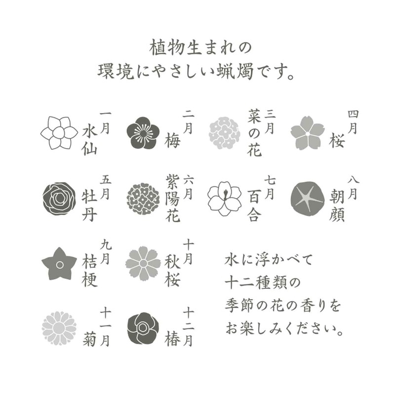 カメヤマ 花づくしギフトセット(植物性) 水に浮かぶキャンドル 季節のお花 植物原料使用