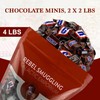 Mini Chocolate Caramel Candy Bars Bulk 2 x 2LB Bags