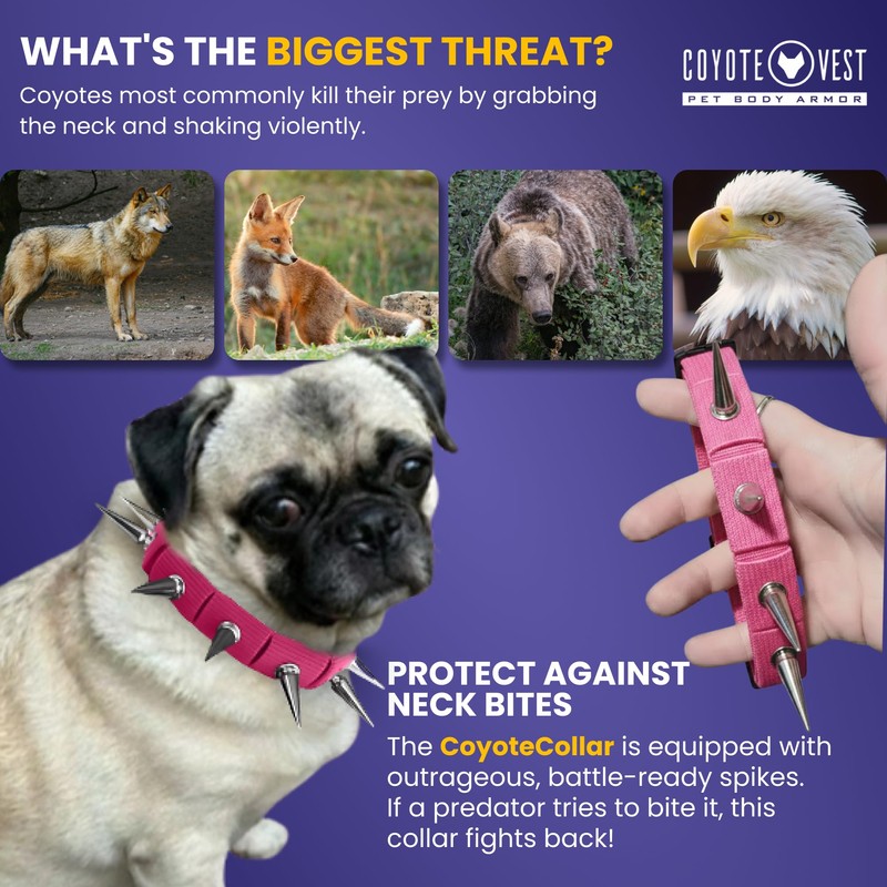 CoyoteVest Spiked Dog Collar - Red Small Spike Collar for