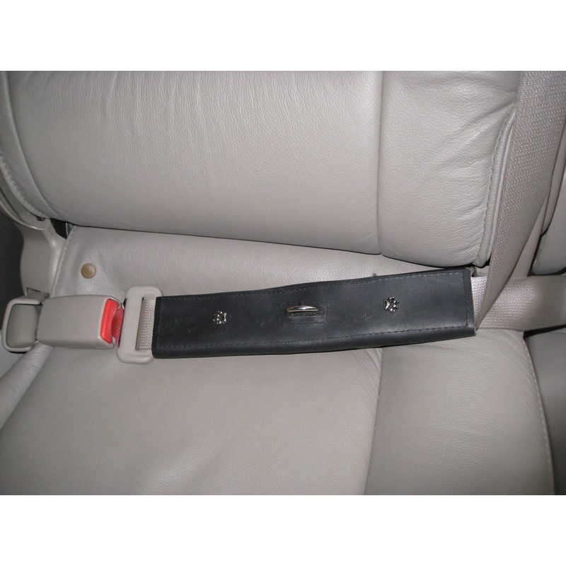 PawRider Tether Pet Leash, Black