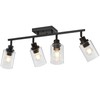 LOUSACE 4 Light Kitchen Track Light Fixtures Ceiling Vanity Lights