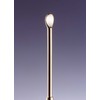 Green Bell Two Way Gold Earpick