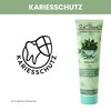 Dr. Bauer's Fruits of Love KOALA Kiss Toothpaste, Toothpaste in