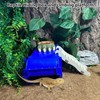 Reptile Digging Box Plastic Leopard Gecko Burrowing Habitat Hide Box