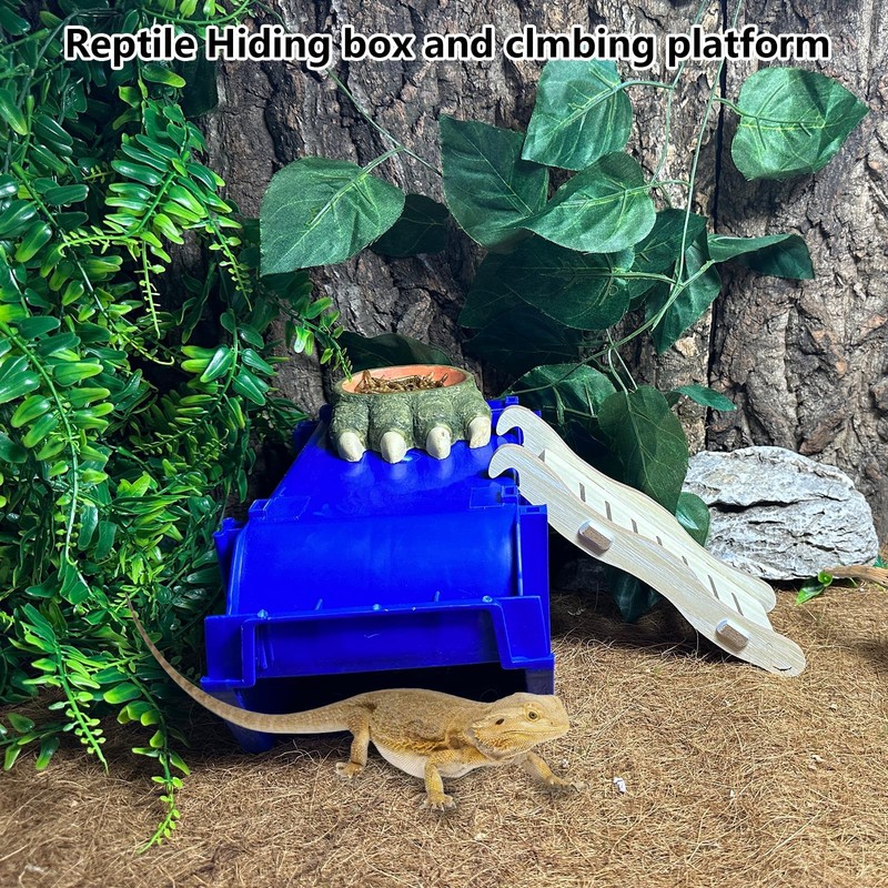 Reptile Digging Box Plastic Leopard Gecko Burrowing Habitat Hide Box
