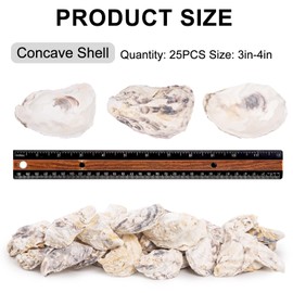 QEQEKAKA 25PCS Oyster Shells 3"-4" Concave Oyster Shells for Crafts Natural Oyster Shells Bulk, for Home Vase Filler, Xmas Ornaments, DIY Arts and Crafts Sea Shells