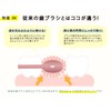 Sakabe Brush [Made in Japan] Perforation Reaches the Back Tooth