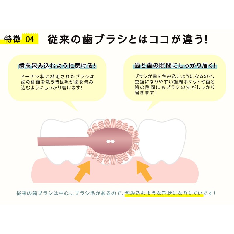 Sakabe Brush [Made in Japan] Perforation Reaches the Back Tooth