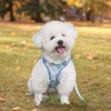 Step-in Dog Harness Small Dogs, No Pull Adjustable Soft Mesh
