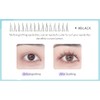 V Shape Lashes Extensions Professional Makeup Individual Lashes Lower Eyelashes