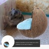 POPETPOP Hamster Hammock Cute Soft Coconut Shell Sleeping Nest with