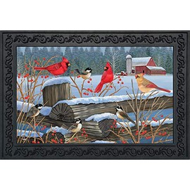 Briarwood Lane Birds of Winter Cardinals Doormat Snowy Indoor/Outdoor 30" x 18"