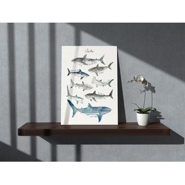 Ocean Animal Watercolor Sharks Educational Chart Wall Art Canvas Farmhouse Shark Theme 11x14 Inch Prints Decor For Home Bedroom Living Room Classroom Library Dorm,Gift For Kids Students Classmates