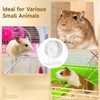 Skdqiee Hamster Exercise Wheel, Silent Hamster Wheel with Acrylic Stand,