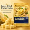 WildSap Emeralds Freeze Dried Durian (78g/2.75 Oz) - Crispy Tropical