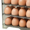 Refrigerator Side Door Egg Rack Multi Functional Anti Slip Flip