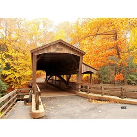 Fall Autumn Leave Covered Bridge Kitchen Glass Cutting Board Country Decorative Gift Design