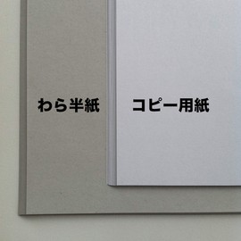 松本洋紙店 わら半紙 更紙 サンプル品 A4サイズ 210mm×297mm 厚み0.06mm 10枚 低白色