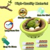 2-in-1 Bird Nest & Perch Set with 4 Hanging Food