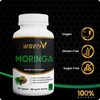 Moringa: The Ultimate Superfood for Energy, Immunity & Vitality moringa