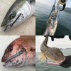 Little Jack METAL ADICT-03 30g #08 Zebra Glow Sardine +