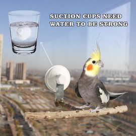 Bird Window Perch Stand with Suction Cup, Outdoor Travel Window Mirror Bird Stand Toy, Suitbale for Small and Medium Bird Parrot Parakeet Cockatiel