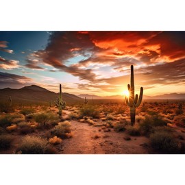 ZatiasMiller Saguaro Cacti Reptile Habitat Background Sunset Desert with Dramatic Sky Terrarium Background Rugged Desert Terrain Landscape Aquarium Background Wallpaper Decor for Tanks Vinyl 72x16in