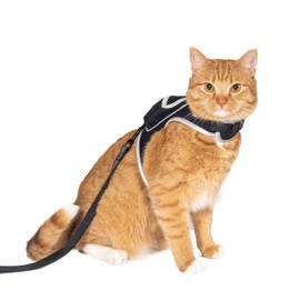 Travel Cat Juego de arnés y correa para gatos  Arnés de malla de velcro ajustable para gatos y kit de correa de nailon fuerte  Arnés cómodo a prueba  