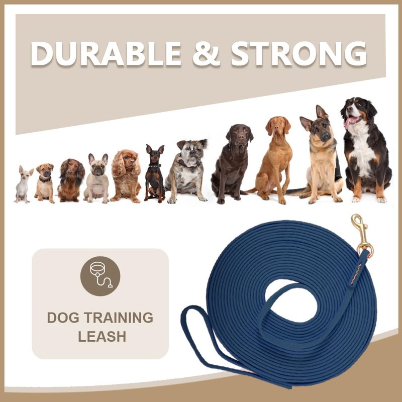 10 mm Waterproof Dog Leash, Long Training Lead for Dogs