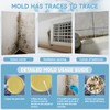 Mold Test Kit for Home,Mold Test Kit with 10 Indoor