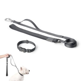 BuddyArmor Dog Collar and Leash Set, Heavy Duty Quick Release Buckle Dog Collar and Two Handles Dog Leash for Training & Outdoor Walking for Small Medium Large Dogs (Space Gray, S)