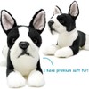 Baxter The Boston Terrier - 12 Inch Stuffed Animal Plush