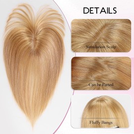 Datanala 100% Real Human 360° Cover Hair French Bangs In Clip Blonde Wisp Bangs Human Hair Clip Hairpieces with Temples Women Air Thinning Curtain Daily Wear