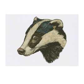 Azeeda 'Dachs-Porträt, Seitenansicht' Temporäres Tattoo - Hautfreundlicher & Ungiftiger Abziehbild · Wasserfest (TO00086411)