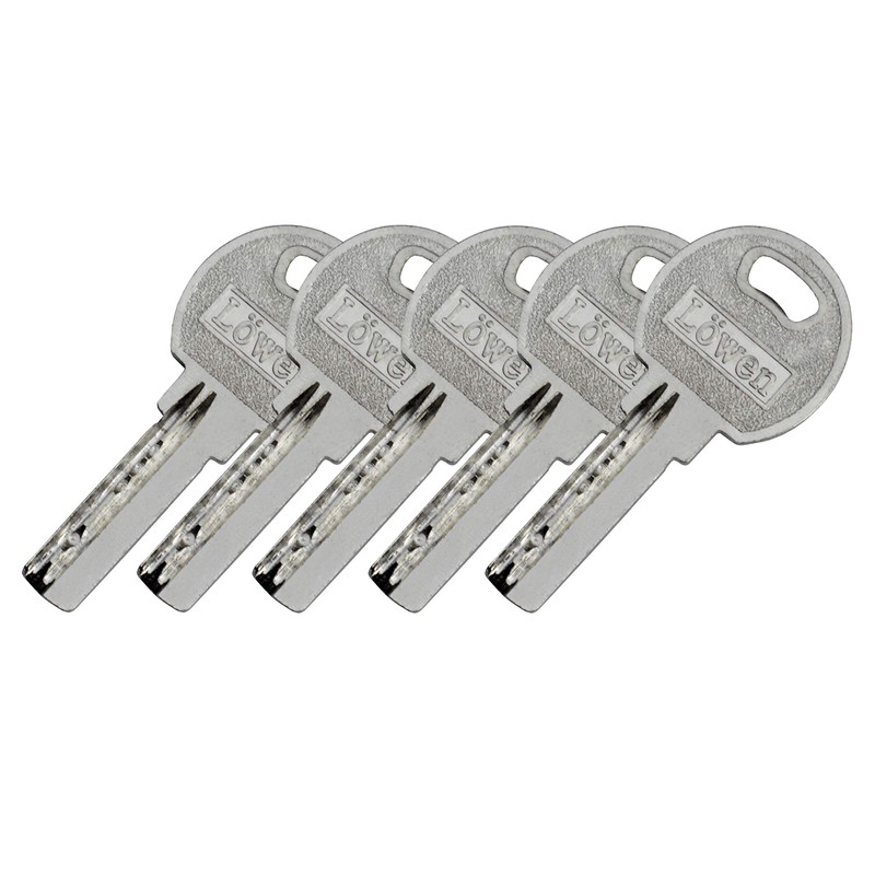 LÖWEN 80 mm 2x Cylinder Lock 40/40 Double Cylinder Simultaneous