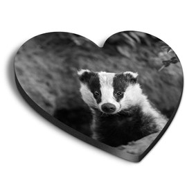 1 x Heart MDF Magnets - Badger Sett Wildlife Animal 36727