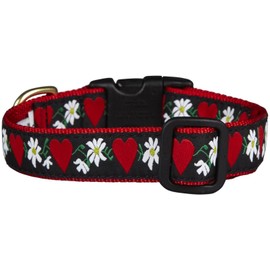 Up Country Hearts & Flowers Dog Collar - Small
